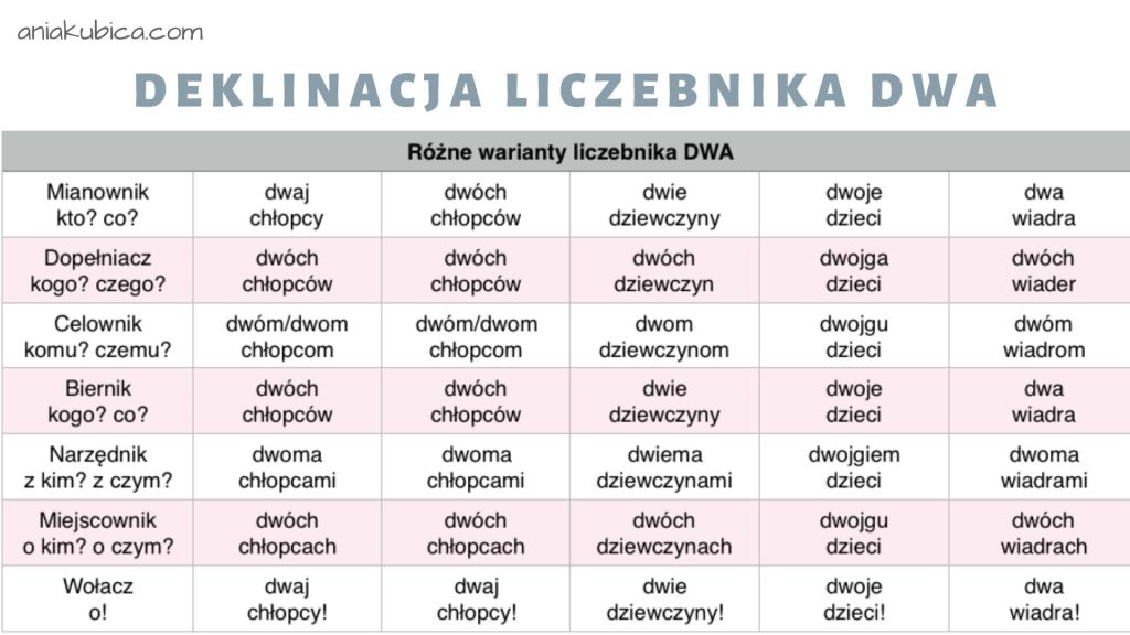 Liczebnik od podstaw – Język polski