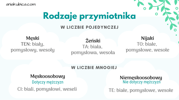 Przymiotnik od podstaw – Język polski