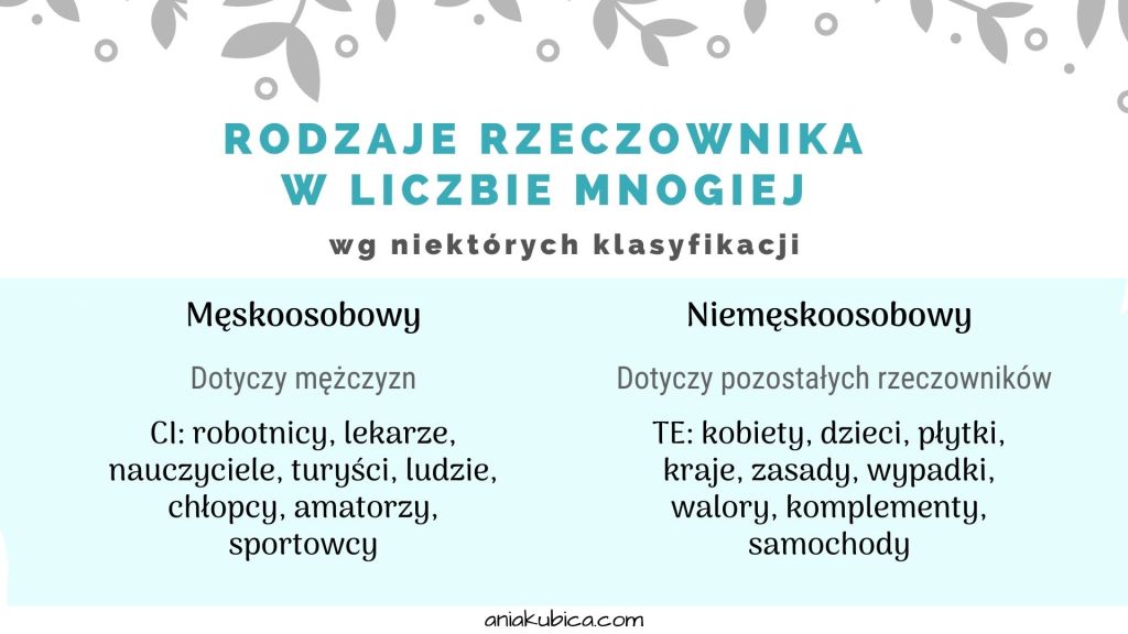Rzeczownik od podstaw – Język polski