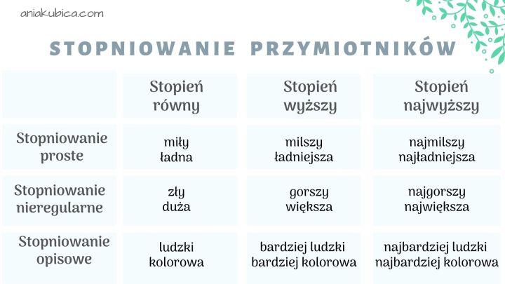 Przymiotnik od podstaw – Język polski
