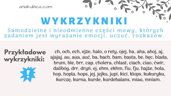 Zaimek, przyimek, spójnik, partykuła, wykrzyknik – od podstaw – Język