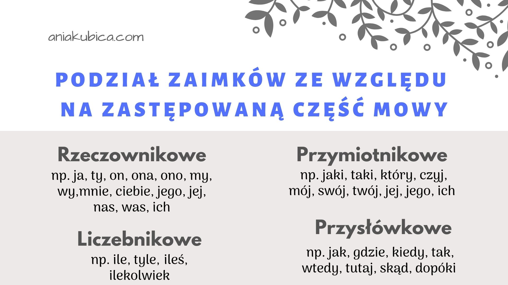 Podział zaimków ze względu na zastępowaną część mowy