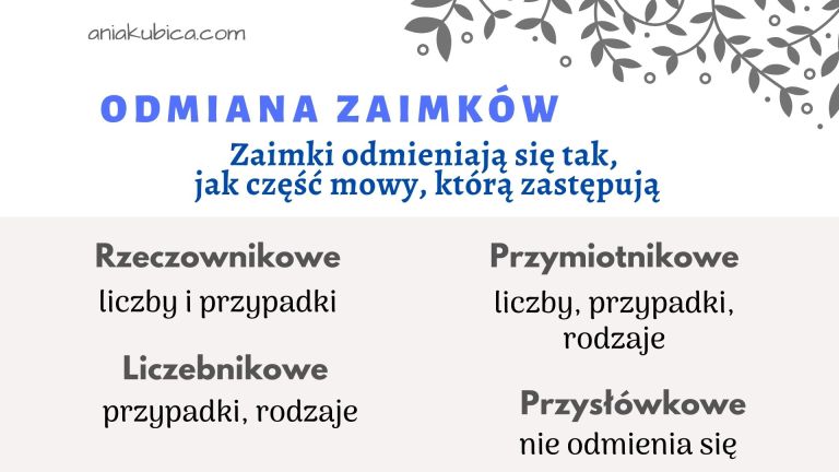 Zaimek, przyimek, spójnik, partykuła, wykrzyknik – od podstaw – Język